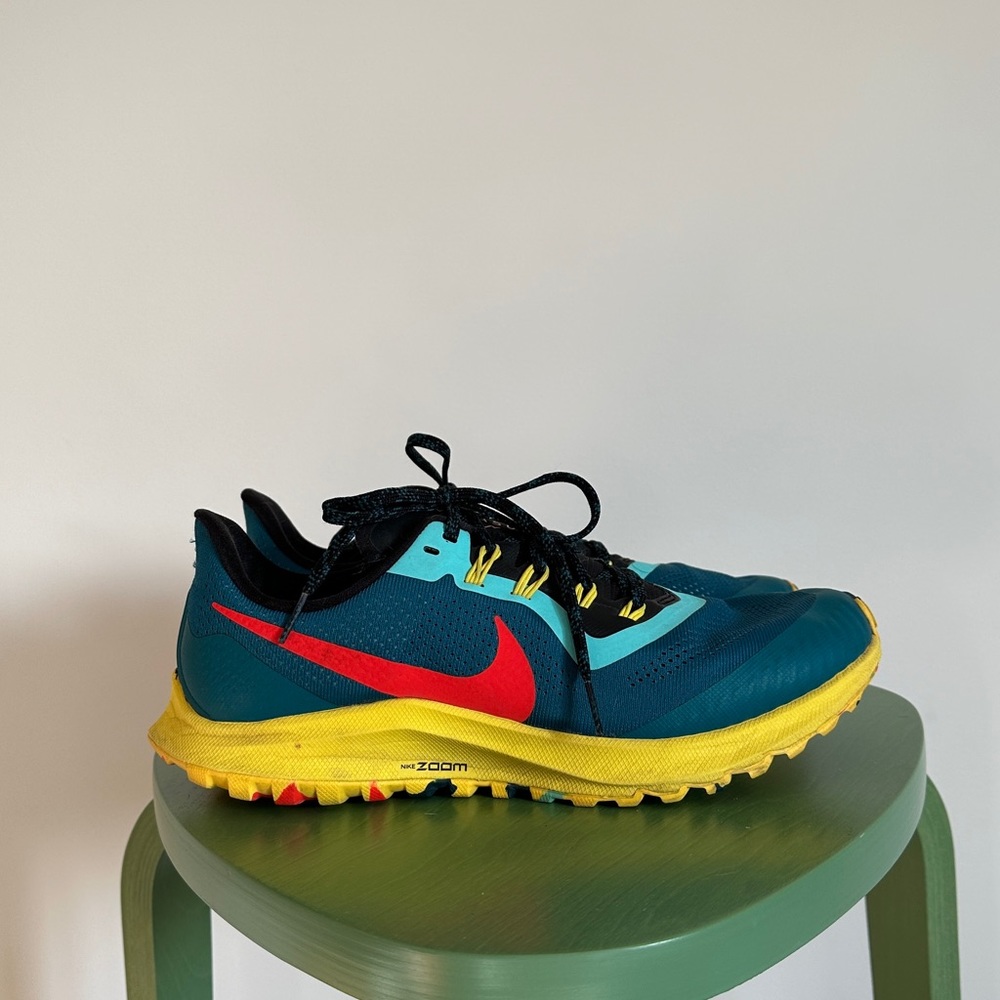 Nike Pegasus 36 trail